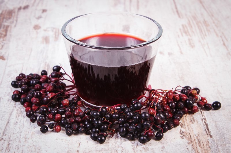 Właściwości soku z czarnego bzu