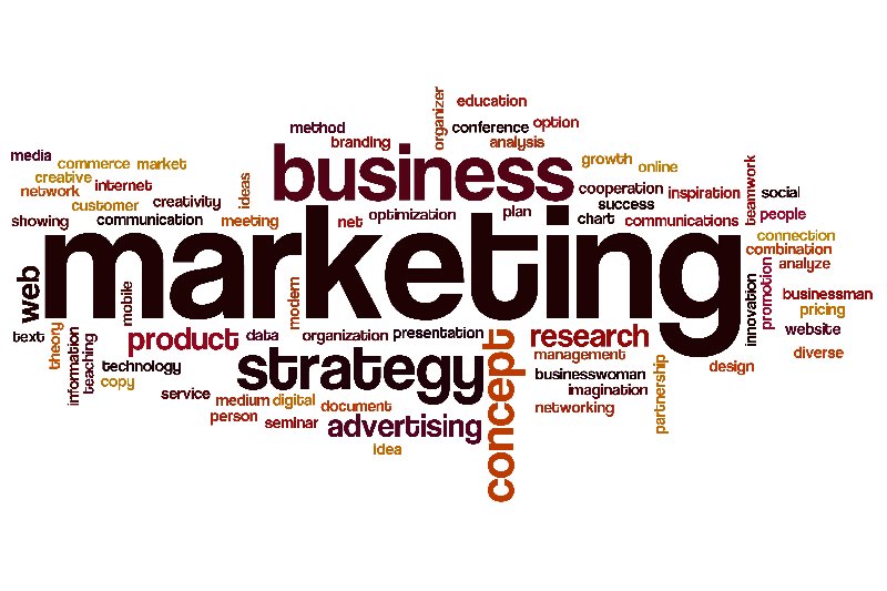 Marketing w Internecie jako element zapewniający sukces